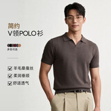 PERRY BURRY超精蚕丝羊毛针织衫老钱风男装polo衫短袖毛衣 云茶 L 175/92A