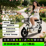 驰小虎电动自行车 吉祥虎新国标电动车电动自行车48V12Ah铅酸电池长续航电瓶车成人代步车电车 绿色