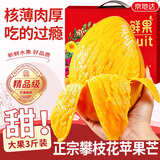 京地达芒果攀枝花澳芒苹果芒果净重3斤单果250g+新鲜水果礼盒源头直发