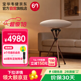 宝华韦健Zeppelin Pro 【价保30天】齐柏林飞艇6代无线HIFI有源蓝牙音箱B&W桌面音响 晨曦金+定制支架