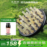 采药师牛角梳按摩头皮黑檀木头部经络梳子腹部刮痧经络刷女生节日礼物