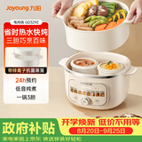 九阳（Joyoung）电炖锅热水快炖多功能锅2.8L电炖盅炖汤盅燕窝锅养生锅宝宝辅食bb粥迷你煮粥煲汤锅白瓷GD329Z