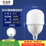 公牛（BULL）LED灯泡高亮柱形灯厂房车间商超食堂 30W球泡白光6500KE27螺口