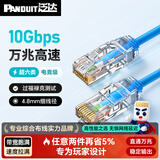 泛达 泛达超六类细网线CAT6A类跳线家用电脑宽带POE监控万兆高速成品线 经典蓝 30米