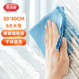 美丽雅鱼鳞抹布30*40cm*5片加大擦玻璃镜子清洁神器不易掉毛不易留水印
