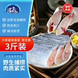 浦晟冷冻渤海湾免处理带鱼实心段净重3斤小眼带鱼烧烤生鲜食材开海季