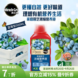 美乐棵植物营养液磷酸二氢钾花肥兰花月季水培花卉绿植发财树营养液肥料 蓝莓型500ml