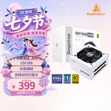 鑫谷（segotep）GM750W ATX3.1金牌全模组冰山版电源（12V-2X6支持5060Ti/5070Ti显卡/白色线材/台式电脑主机箱）