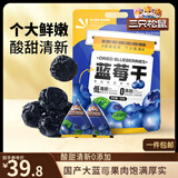 三只松鼠每日蓝莓干500g 蜜饯果干酸甜休闲零食下午茶孕妇儿童健康零食