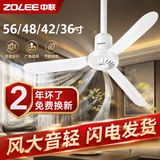 中联大风力家用吊扇音轻卧室客厅塑料遥控蚊帐床上微风扇小电风扇/ 直径900MM+吊钩+膨胀螺丝