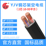 国超电缆YJV-0.6/1KV-2*10铜芯国标架空户外防老化2芯电力电缆 1米【现货】