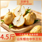京鲜生 山东烟台中华丑梨 净重4.5斤 6-9粒 生鲜水果 源头直发