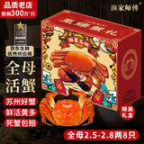 【活蟹】漁家师傅大闸蟹全母2.5-2.8两8只去绳足重鲜活螃蟹现货生鲜礼盒 源头直发