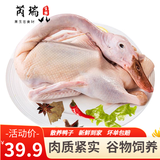 芮瑞农家散养大白鸭子肉土鸭子嫩鸭子肉 净重约900g 2只装
