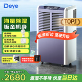 德业（Deye）除湿机/抽湿机 除湿量110升/天适用300平方米 别墅地下室仓库车间大功率除湿器DY-8138C