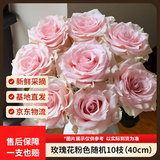 京东鲜花玫瑰花粉色随机10枝40cm起发如意基地鲜切花生活花束山东源头直发