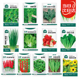 北蔬菜种子大全黄瓜菠菜香菜葱小白菜蔬菜种籽 [家庭种]13种蔬菜种子