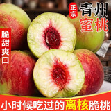 粤迎山东青州蜜桃【闪送-源头直采】现摘新鲜当季应季时令现水果桃子 5斤精选果【香甜多汁】净4.5斤