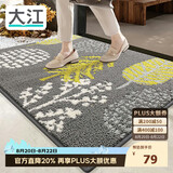 大江入户地垫门口脚垫户外进门地毯高端丙纶入户门垫60x90cm