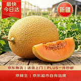 京鲜生 新疆黄金哈密瓜 1粒装 单果3斤起  生鲜水果  