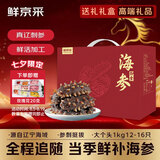 鲜京采大连即食海参 2斤12-16 只 礼盒固形物超75%【京东自有品牌】
