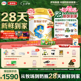 伊利金领冠珍护较大婴儿奶粉2段6-12月900g*6罐 HMO乳源/28天新鲜到家