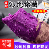 紫罗兰红薯沙地现挖紫薯宝宝辅食紫芋头山芋苕粗粮新鲜包邮 紫罗兰紫薯9斤中大果 含箱