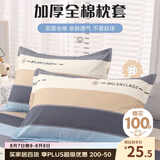 艾薇 A类枕头套纯棉家用全棉单人枕套一对枕芯套 罗马时代 48*74cm