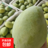当季四川凯特芒大果新鲜采摘水果芒果爆甜多汁京东包邮37 带箱1斤净重0.7斤 单果200g+