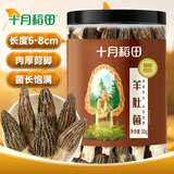 十月稻田 羊肚菌 30g（5-8cm）云南产 菌菇汤包 鸡汤煲汤火锅食材