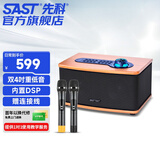 先科家庭ktv音响套装家用电视唱K歌全套设备家用卡拉OK音箱桌面低音炮HIFI蓝牙音箱SW-10