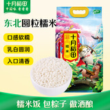 十月稻田 糯米 5斤 东北圆粒糯米 五谷杂粮米 包粽子糯米粉 酿米酒