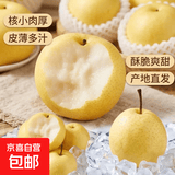 正宗河北皇冠梨饶阳皇冠梨产地直发单果180g+ 皇冠梨带箱4斤净重3.5斤