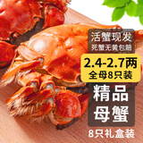 【活蟹】乾澄大闸蟹鲜活 全母蟹2.4-2.7两 8只 去绳足重螃蟹海鲜中秋礼盒源头直发