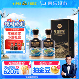 古井贡酒 年份原浆古20 世博版 浓香型白酒 52度 500ml*2 双瓶装