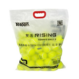 天龙（Teloon）网球训练习用球初学进阶专业业余比赛过度网球 Rising专业一袋60个(送三个手胶)
