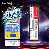长城（Great Wall）1TB SSD固态硬盘 M.2接口(NVMe协议) PCIe4.0x4 读速高达7100MB/s GW7000系列