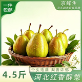 京鲜生河北红香酥梨 净重4.5斤 单果150g+ 新鲜水果 源头直发
