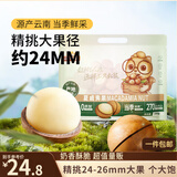 三只松鼠夏威夷果500g约24-26mm儿童每日坚果炒货休闲零食团购送礼