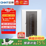 正泰强电箱配电箱明装13回路NEX5-C11300M