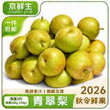 京鲜生安徽砀山青皮青翠蜜梨净重3斤 单果200-250g+新鲜水果 源头直发