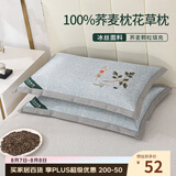 艾薇荞麦枕头夏季100%荞麦壳带冰丝枕套枕芯一个装 叶子灰 35*55cm