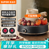 苏泊尔（SUPOR）迷你电陶炉 煮茶器煮茶炉煮茶壶 养生围炉煮茶泡茶办公家用不挑器具SW-DTL05
