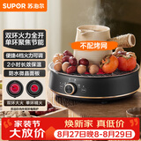 苏泊尔（SUPOR）迷你电陶炉 煮茶器煮茶炉煮茶壶 养生围炉煮茶泡茶办公家用不挑器具SW-DTL05