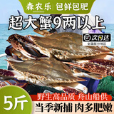 【冷冻】舟山梭子蟹鲜活特大野生大螃蟹新鲜海蟹（26年新蟹活冻） 3-5两/只【3斤净重 当季船供】