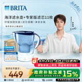 碧然德（BRITA）过滤净水器 家用滤水壶 净水壶 海洋系列 去水垢专家版滤芯11枚 环保加固包装