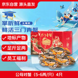 【活蟹】掌昕鲜三门青蟹 公母对蟹（5-6两/只）4只鲜活螃蟹中秋送礼盒非大闸蟹源头直发