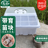 寿禾 穴盘育苗盘育苗盒带排气阀透气 潍育育苗盒白色12穴+12个育苗块