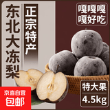 东北冻梨 正宗特产冻梨大黑梨 净重9斤 特大果300g起