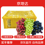 京地达新疆三色葡萄净重4斤无核白玻璃翠无核籽提子组合源头直发包邮